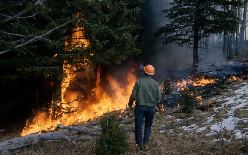 Prescribed Fire StoryMap