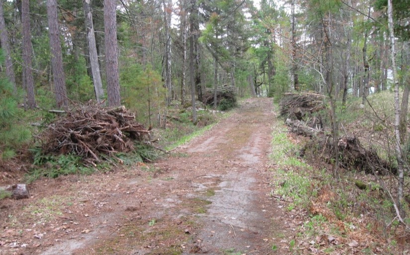 Brush Disposal Sites - Lake County, MN