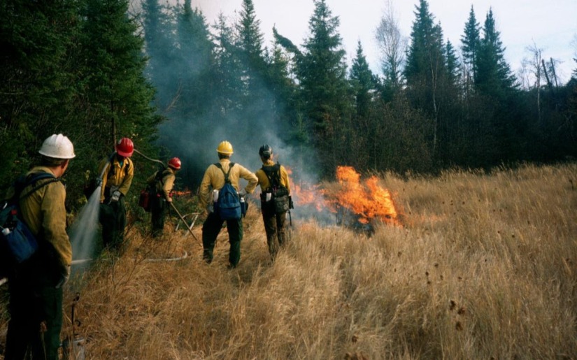 Hegman North Prescribed Fire Fact Sheet